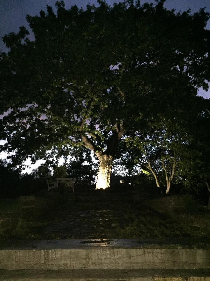Favoloso Appartamento In Villa Monterosi Εξωτερικό φωτογραφία
