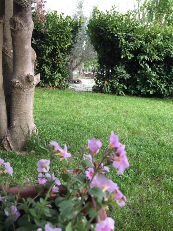 Favoloso Appartamento In Villa Monterosi Εξωτερικό φωτογραφία