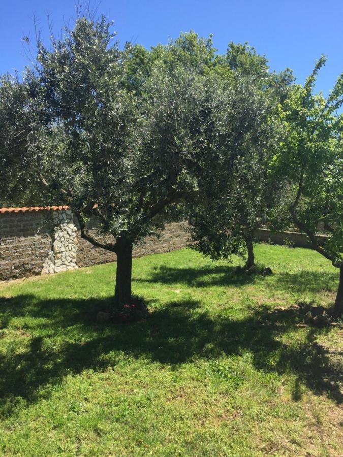 Favoloso Appartamento In Villa Monterosi Εξωτερικό φωτογραφία